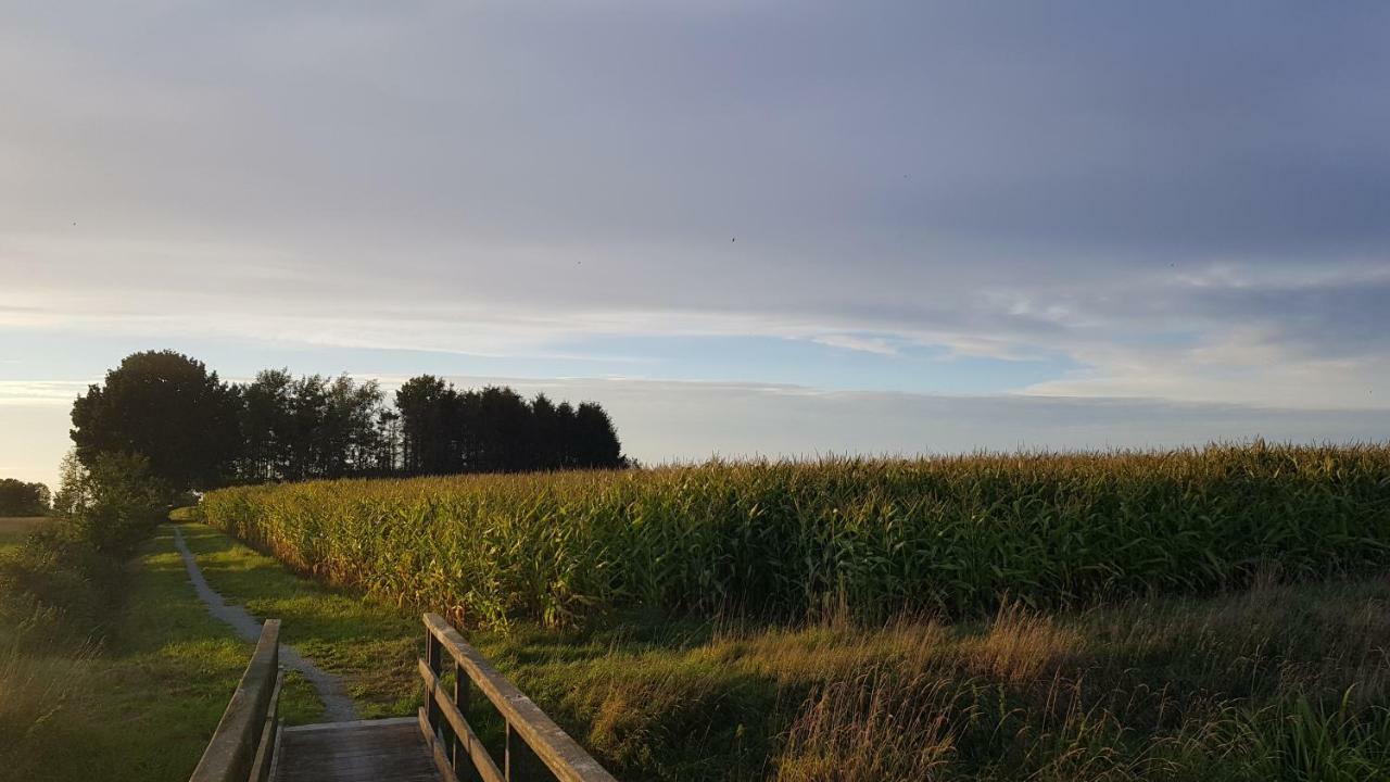 Ferienwohnung Utkiek Aurich Luaran gambar